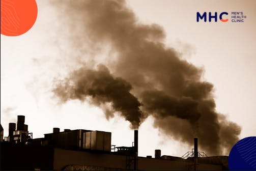 Uncovering The Smoggy Connection Between Environmental Pollution And Male Sexual Dysfunction 7453